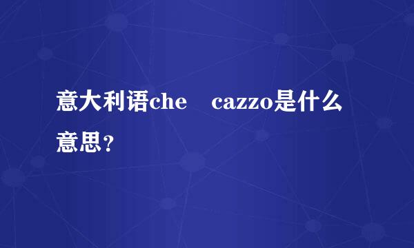 意大利语che cazzo是什么意思？